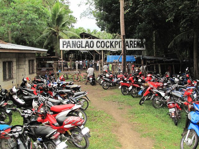 Coqpit Arena Panglao (1)